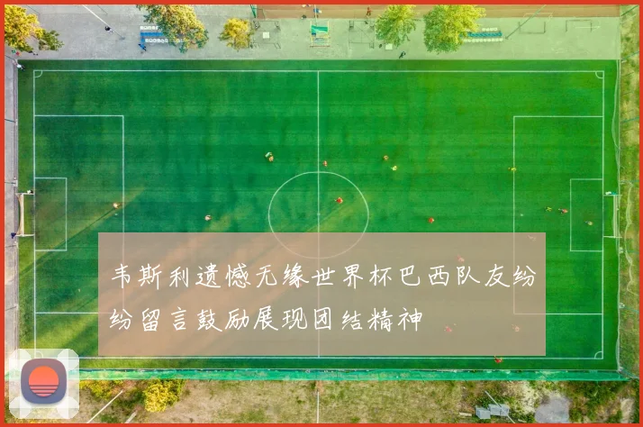 韦斯利遗憾无缘世界杯巴西队友纷纷留言鼓励展现团结精神