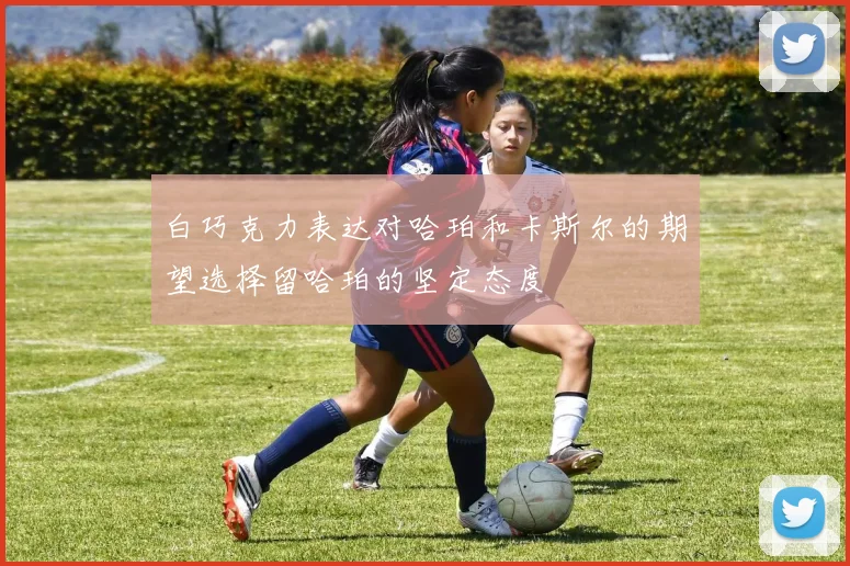 白巧克力表达对哈珀和卡斯尔的期望选择留哈珀的坚定态度