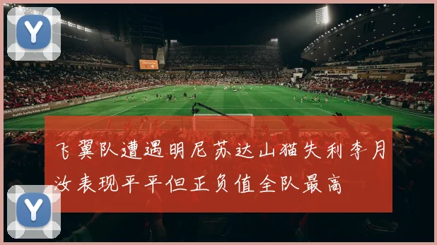 飞翼队遭遇明尼苏达山猫失利李月汝表现平平但正负值全队最高